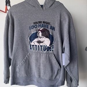 Big Dogs Gray Hoodie with Fun Graphic